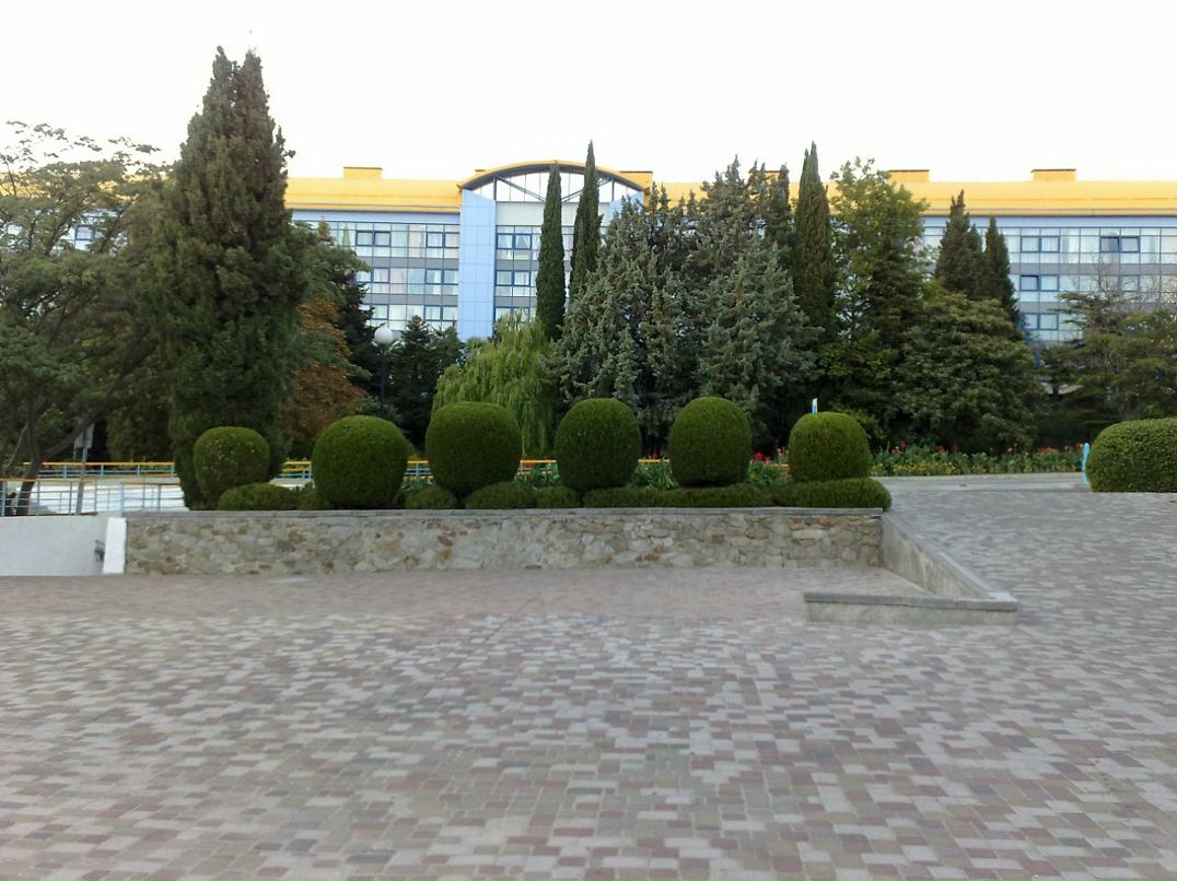 Серёга Мойса фотография #30