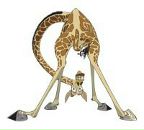 Фотография Путиловой Юлии