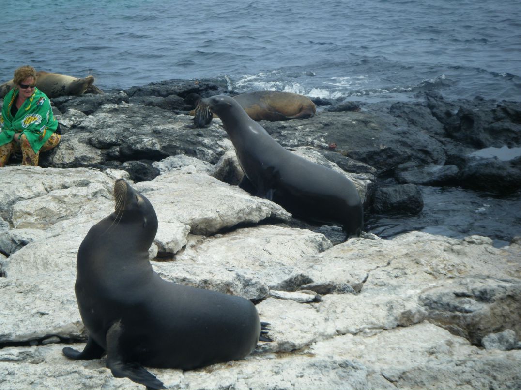 Julia Gorodetskaja фотография #20