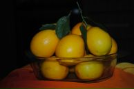 Эльвира Ибрагимова фотография #1