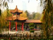 Фотография Лукьяненко Алины