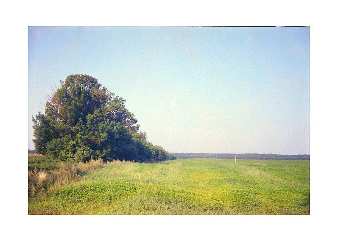 Саша Тарасенко фотография #50