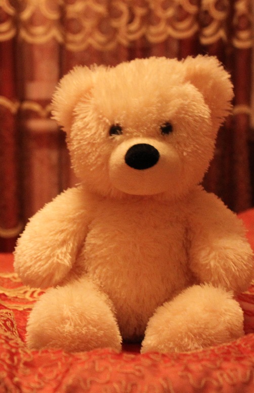 Ярослава Ковтун фотография #33