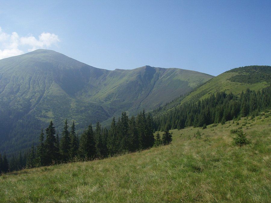 Маша Анищенко фотография #33