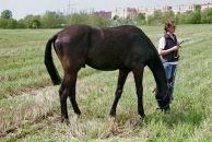 Фотография Ужвы Марины