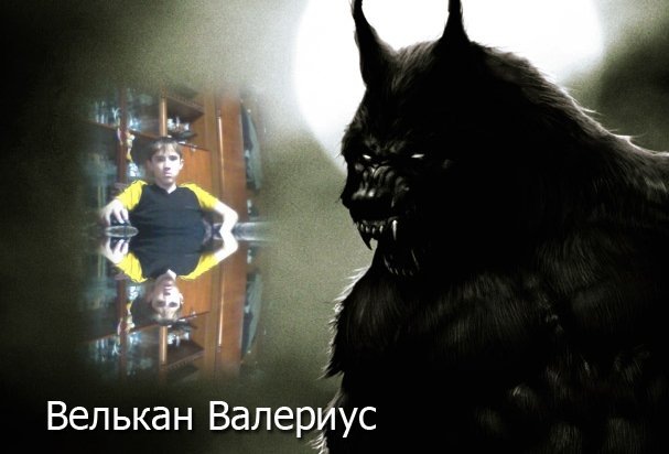 Данил Михеев фотография #5