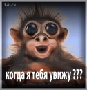 Руслан Дяків фотография #17 (источник - https://vk.com/id119007423)
