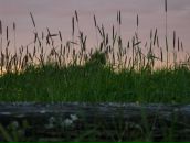 Фотография Гуменюк Веры