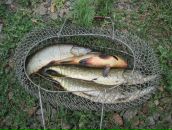 Григорій Андрієць фотография #49 (источник - https://vk.com/id61823057)