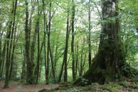 Дима Otrishko фотография #8 (источник - https://vk.com/id1462403)