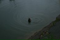 Дмитрий Клименко фотография #28 (источник - https://vk.com/id2343828)