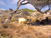 Дмитрий Сидоров фотография #38 (источник - https://vk.com/id996625)