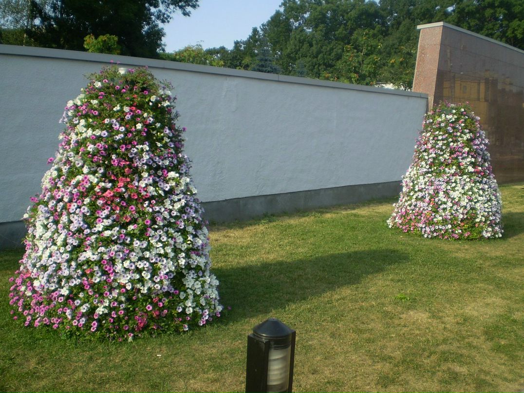 Дмитрий Поляков фотография #18