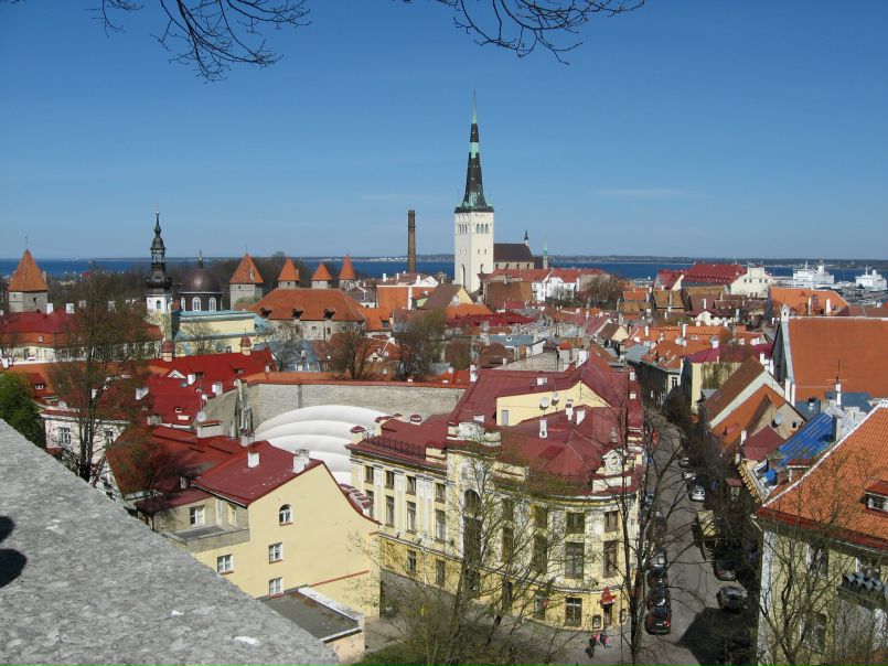 Элла Битарова фото №46