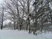 Вова Таргоній фотография #47 (источник - https://vk.com/id62501575)