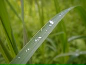 Фотография Куликовой Лены