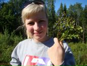 Фотография  