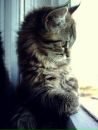Фотография Сугробов Василий