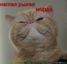 Фотография Когут Артем