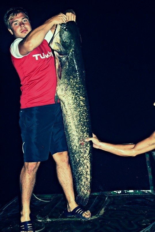 Дмитрий Стяг фотография #35