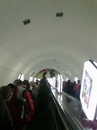 Мася Кіц фотография #12 (источник - https://vk.com/id156465797)