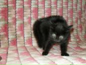 Фотография Юрчук Ксении