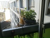 Юлия Москвичева фотография #8 (источник - https://vk.com/id1690467)