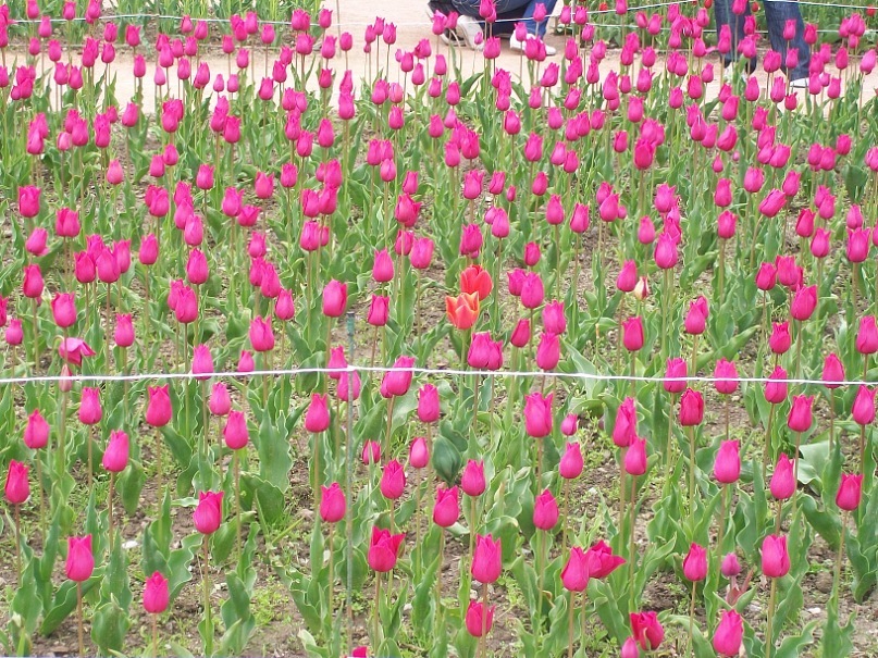 Игорь Яненко фотография #32