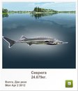Діма Мікулеску фотография #14 (источник - https://vk.com/id148218934)