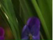 Юлія Крайничин фотография #40 (источник - https://vk.com/id138460244)