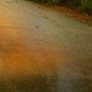 Марічка Билинь фотография #16 (источник - https://vk.com/id13386712)