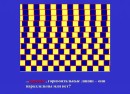 Міша Янішевський фотография #49 (источник - https://vk.com/id53941087)