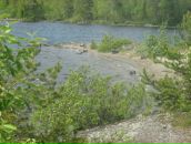 Фотография Малой-Петровой Татьяны