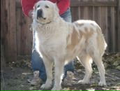 Володимир Павлік фотография #33 (источник - https://vk.com/id140487540)