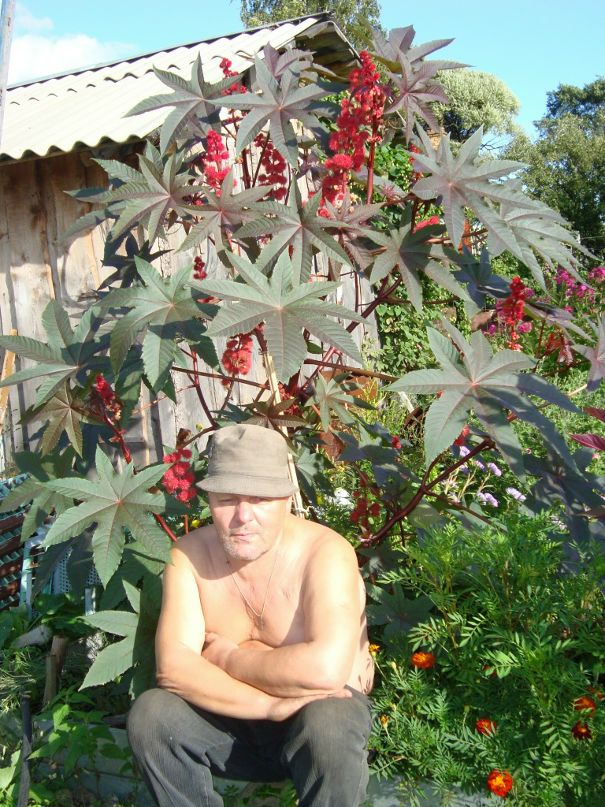 Виктор Башкин фотография #30