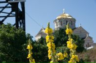 Павел Волк фотография #6 (источник - https://vk.com/id470503)