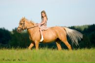 Кінний-Клуб Срібна-Підкова фотография #36 (источник - https://vk.com/id212445489)