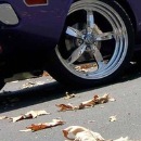 Віталік Курилишин фотография #19 (источник - https://vk.com/id156883764)