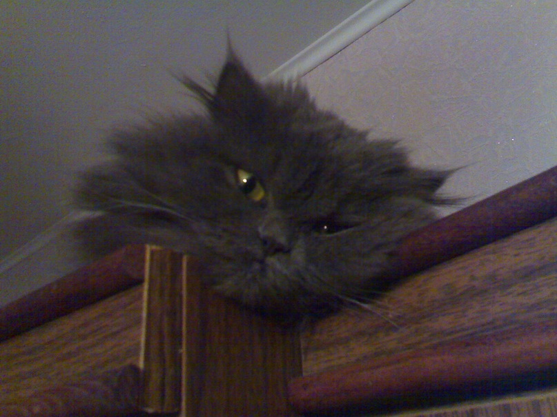 Иван Дедков фотография #46