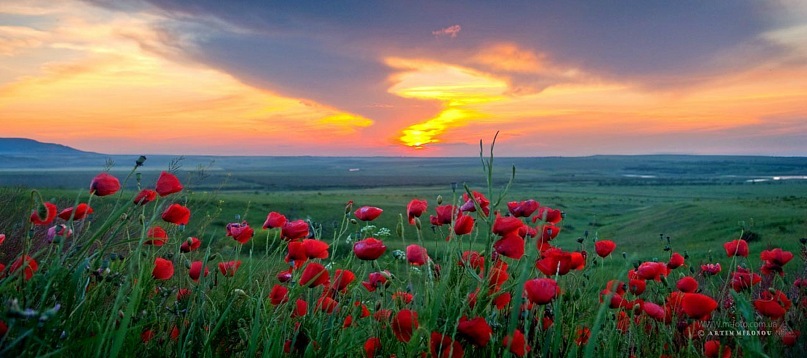 Любовь Деева фотография #25