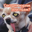 Макс Заводіло фотография #11 (источник - https://vk.com/id161844492)