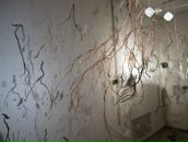 Фотография Панковой Натальи