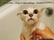 Фотография Бытовой Анастасии