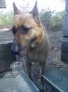 Пєтя Кот фотография #5 (источник - https://vk.com/id70534208)