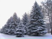 Влад Костін фотография #48 (источник - https://vk.com/id98607971)