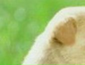 Лера Лоц фотография #38 (источник - https://vk.com/id57504657)