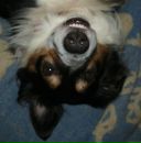 Фотография Васильевой Аллы