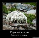 Іра Цівка фотография #42 (источник - https://vk.com/id120948154)