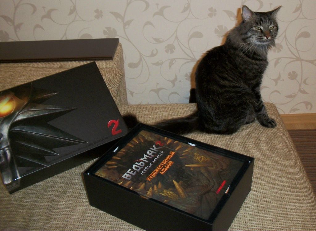 Цов Цов фотография #34