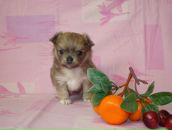 Фотография Лялиной Лены